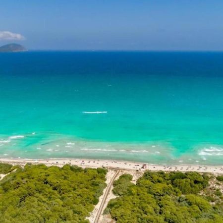 Beach House Alcudia Dış mekan fotoğraf